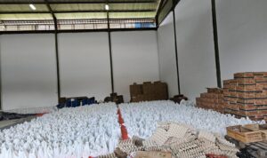 IMG-20260202-WA00091